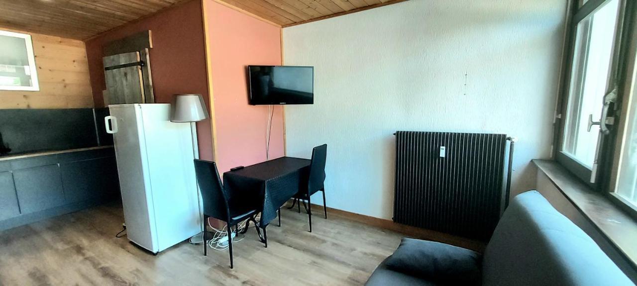 Studio 8 Bis, Pied De Pistes La Bresse Hohneck公寓 外观 照片